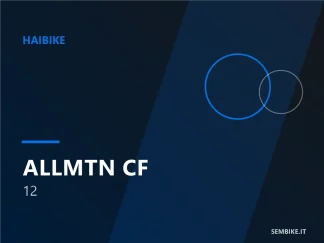 Haibike AllMtn CF 12 - e-bike in vendita da Sembike